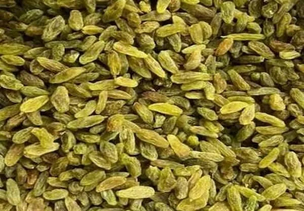 راهنمای خرید کشمش سبز اعلا + قیمت عالی