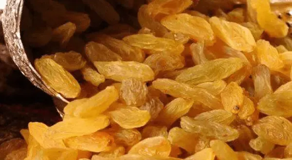 راهنمای خرید کشمش زرد طلایی + قیمت عالی